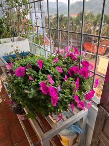 Nhà nghỉ Hoàng Lan