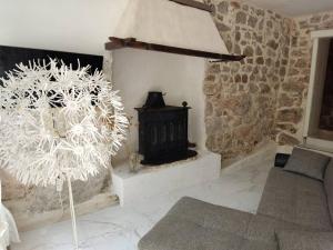 Apartments with parking space Janjina, Peljesac - 21984