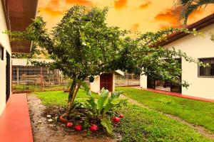 Rio Celeste Birds Garden Apartment, Aire Acondicionado, comodidad y privacidad en un entorno natural 2