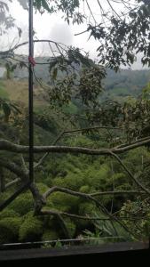 Cabaña Natura GREEN