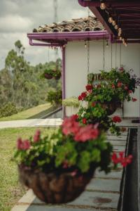 La Casa en las Nubes