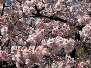 Hotel Crystal -大人専用--