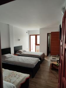 Eco House