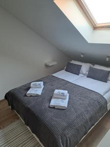 SOLEK Apartamenty i pokoje gościnne