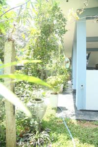 Rose Fort Homestay