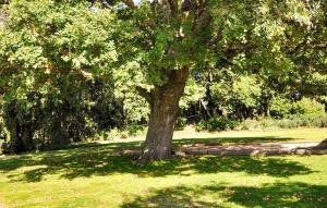 Maisons de vacances Cendrons 4 : photos des chambres