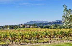 Maisons de vacances Cendrons 4 : photos des chambres