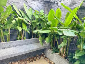 Raing Phnom Bungalow