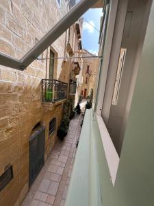 Domingo x Casa Norte