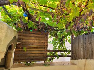 Maisons de vacances Maison In Vino : photos des chambres