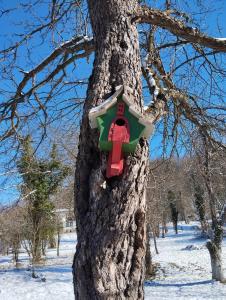 Расимова къща