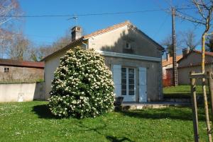 COQUETTE MAISON