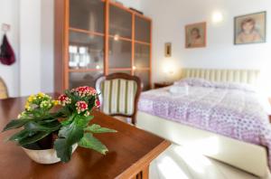 Delizioso Bilocale Alghero Centro img26