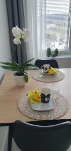 Studio 12 floor, Puijo landscape, Free parking