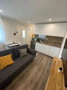 Studio neuf avec jardin privatif - Saint-Aignan-Grand-Lieu