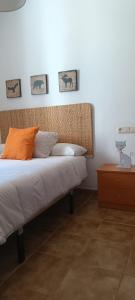 Apto Blanes - WIFI GRATIS