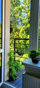 HomeComfort Apartament Merlin