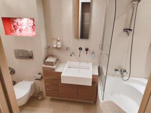 Luxury apartment in the heart of the capital