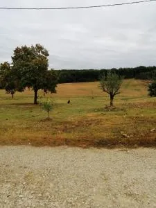 Gîte du Gouthé - Le Brouilh