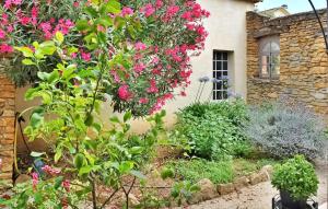 Maisons de vacances La Villa Des Fleurs : photos des chambres