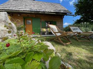Chalet Hike&Bike above Bohinj valley