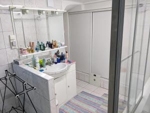 Sejours chez l'habitant Chambre dans maison pres du stade de France et piscine olympique : Chambre Double avec Salle de Bains Commune