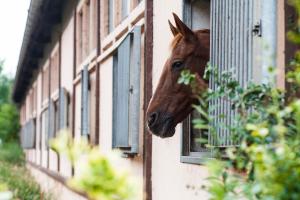 Project JUNE - ehemals Landgasthof Jüterbog