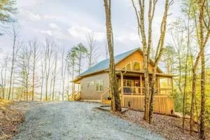 Art's Bungalow-wooded seclusion 1 mi to Deep Creek and Bryson City - Franklin Grove