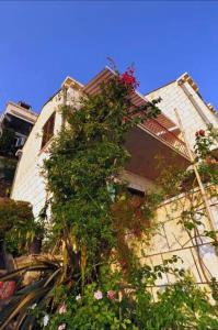 SeaView Apartment Ema