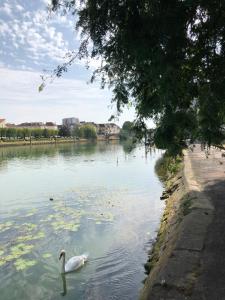Appartements Appartement Art moderne entre Disney et Paris : photos des chambres