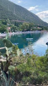 The Loula Collection - Horizon Suite