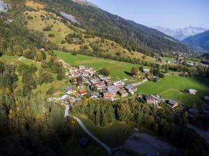 Appart'hotels Chalet Nant Rouge : photos des chambres