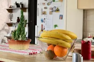 Canyon Matka - Unique place for stay ( Garden ) - Semenište