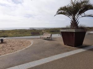 Appartements APPARTEMENT AU CALME AVEC PISCINE ET PARKING dans residence securisee : photos des chambres