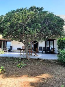 Villa Matejo