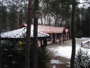 Dom nad Stawem - ALEX