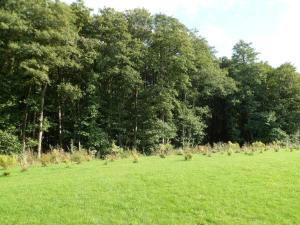 Ferienwohnung Igelring 47 OG Scheidemann GM 69821