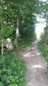 Ferienwohnung 62 OG Niermann