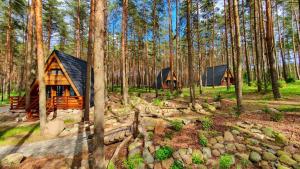 Osada Swory domki w lesie nad jeziorem