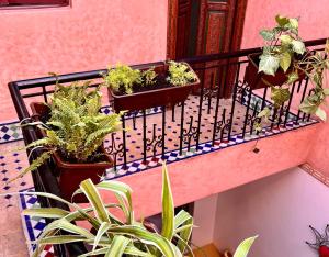 Riad de charme - la perle des Oudayas