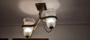 El capricho de Susana