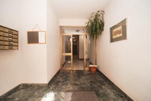 Green Hill Buddyrents