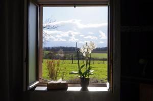 B&B / Chambres d'hotes Les Pres d'Allerey : photos des chambres