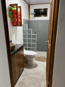 Casa Hummingbird Peace & Nature