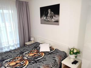 Apartament Bałtycka 6B