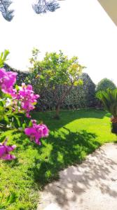 Loft le Pavoncelle img9