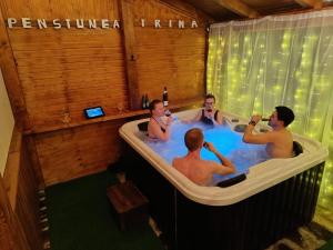 Pensiunea Irina Maramureș