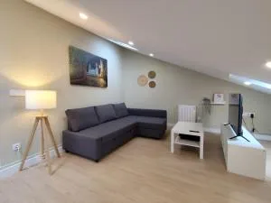 Atico Porta de Santiago - Junto Catedral - VUT-LU-02906 - Esperante