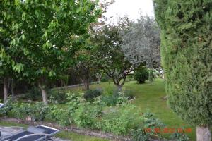 Maisons de vacances LA BAMBOUSERAIE : photos des chambres