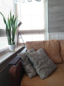 Viihtyisä huoneisto Tahkolla